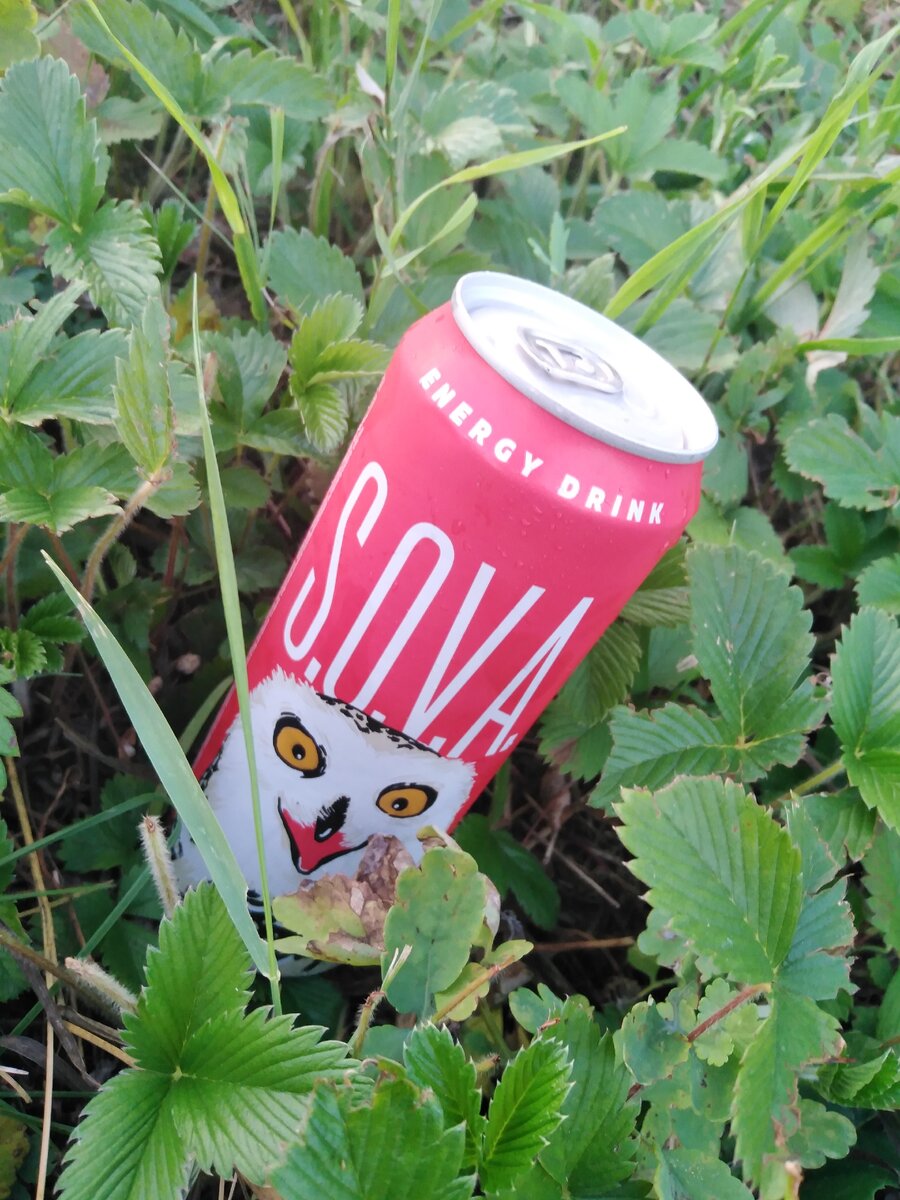 Энергетический напиток S.O.V.A.