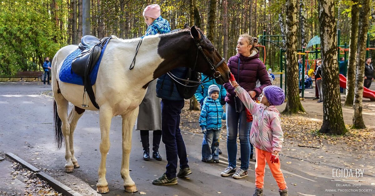 Фото для иллюстрации обложки с сайта https://egida.by/