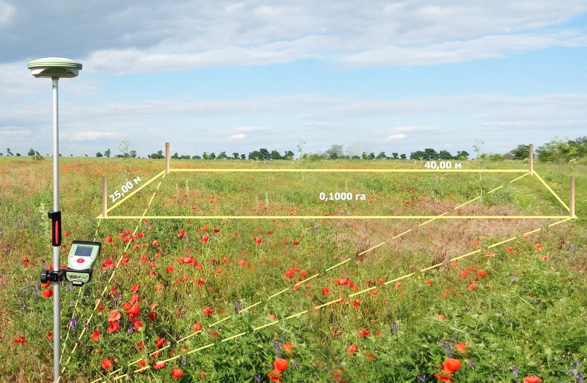 Изображение из свободных источников
