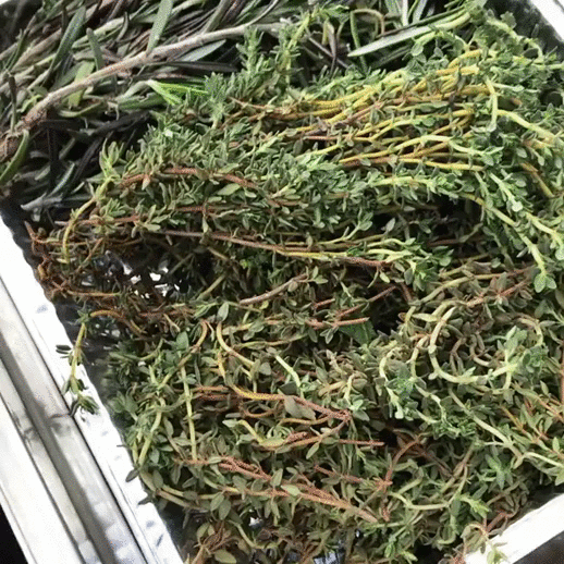 Тимьян и розмарин при нагревании дают божественный аромат, в данном случае их можно поместить прямо на угли.