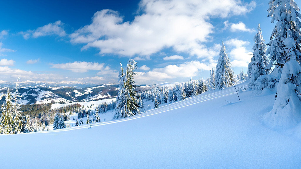 Зима в Сибири. Разве не прекрасно? Фото из свободного доступа.