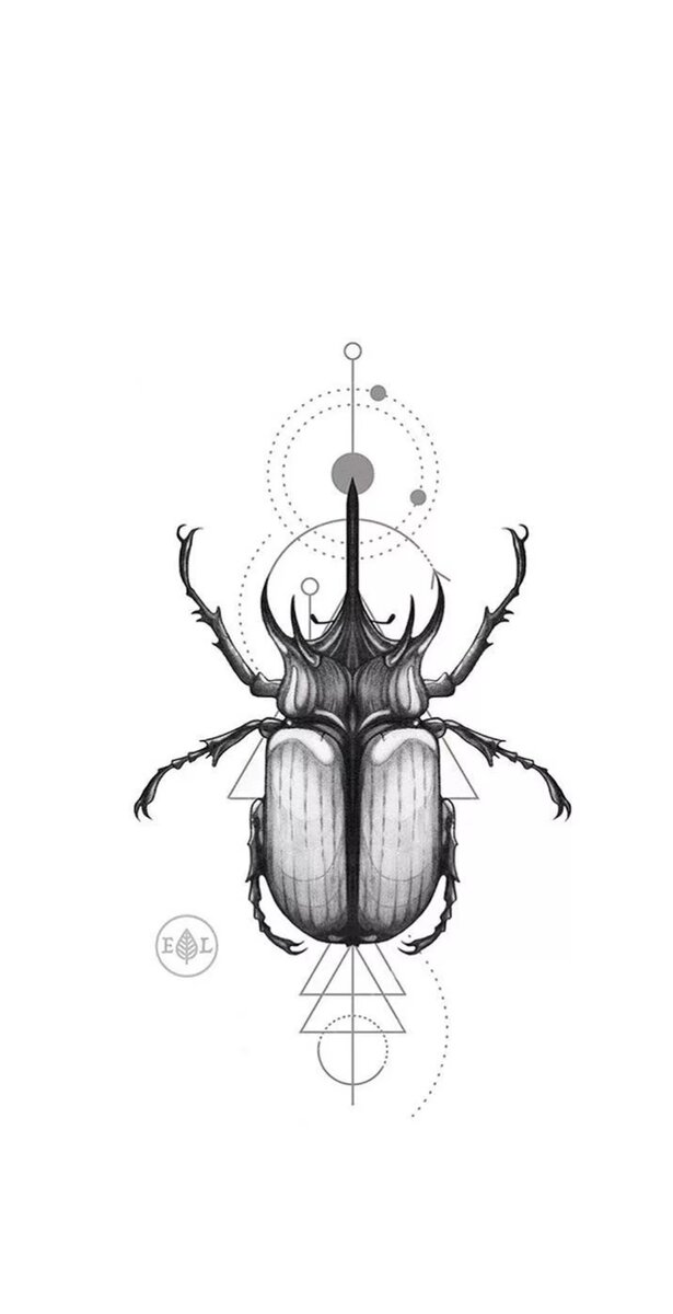 Жук скарабей тату. Тату жук значение. Жук скарабей тату женские. Татуировка жук скоробей. Скарабей тату.