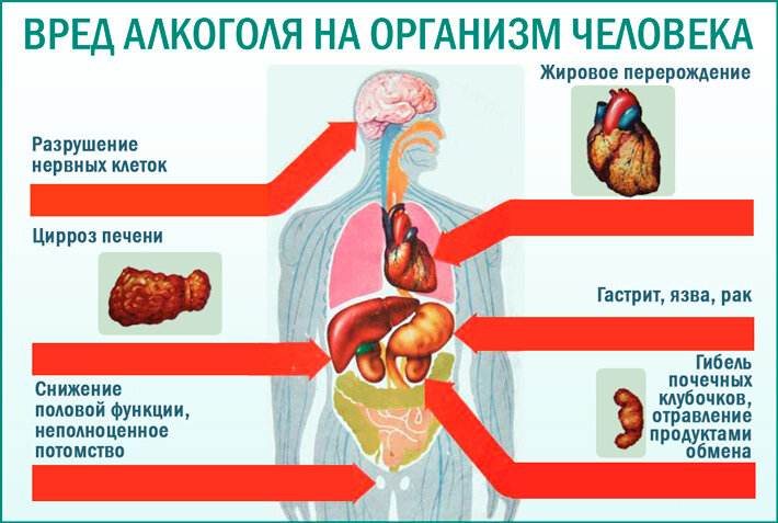 (По статистике в результате алкогольного опьянения в России ежегодно погибает порядка 500 000 человек. )