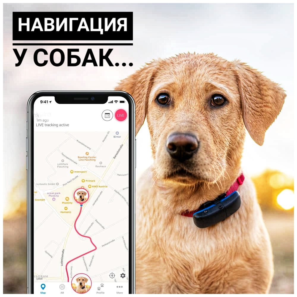 Фото с сайта puuilo.fi