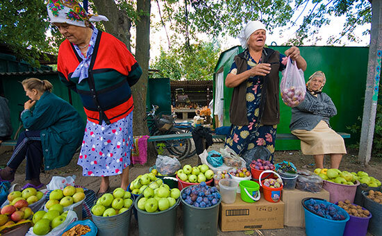 Фото из свободных источников.