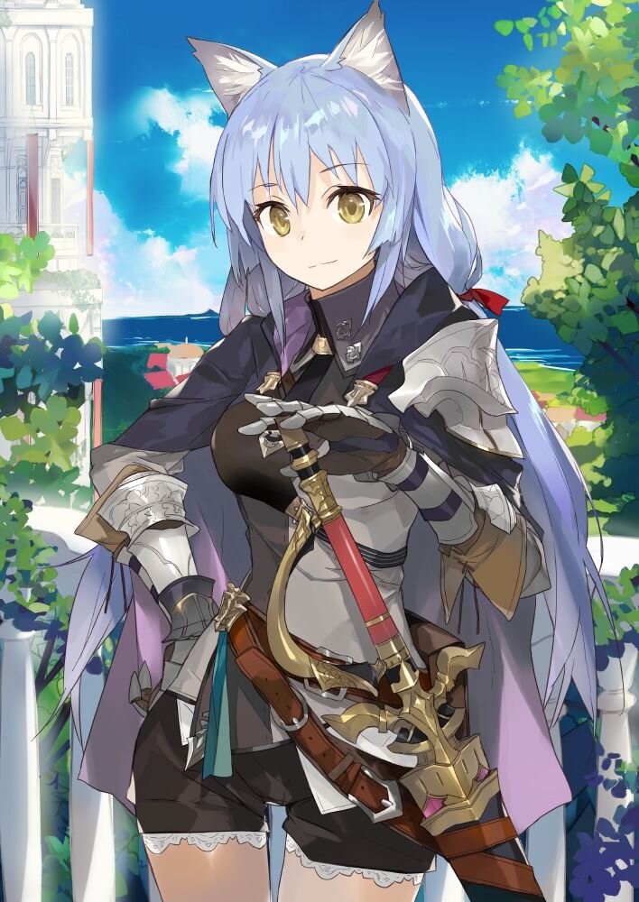 Примерно так выглядит авантюрист в зависимости от предпочтений автора.