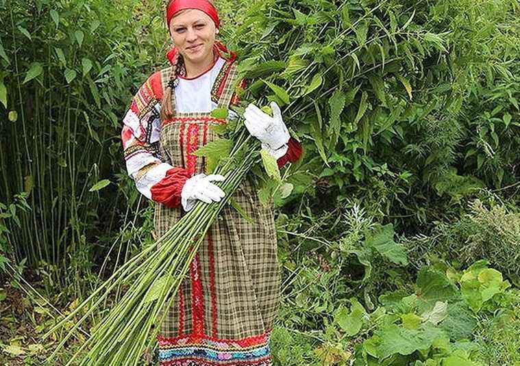 Крапивное заговенье картинки. Крапивное заговенье праздник. Крапивное заговенье 11 июля. Платье из крапивы. Свитер из крапивы.