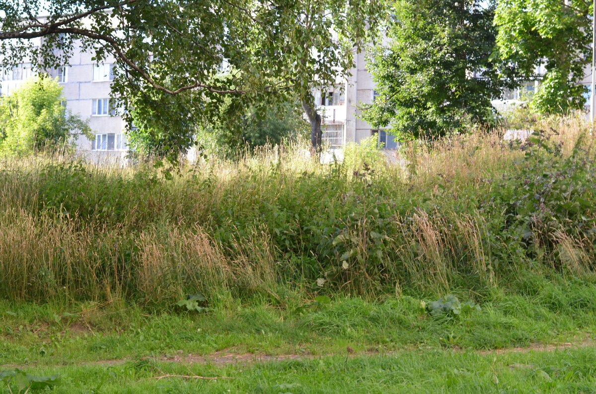 Череповец, Промышленный город. Часть 6 | Фотохудожница-Фрилансер | Дзен