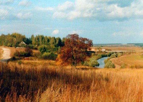 Река Пёт у села Потапьево (Пителинский р-н, Рязанская обл)