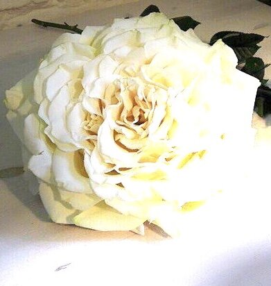 Гламелия из лепестков розы. 