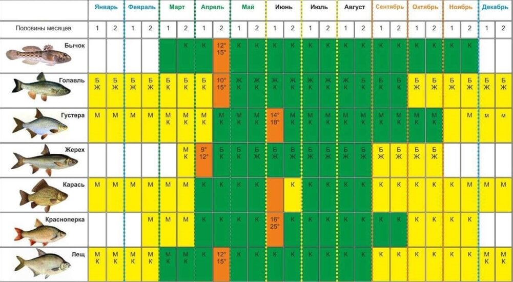 Прогноз клева рыбы на неделю с 23 по 31 Мая Календарь клева рыбы Календарь рыбак