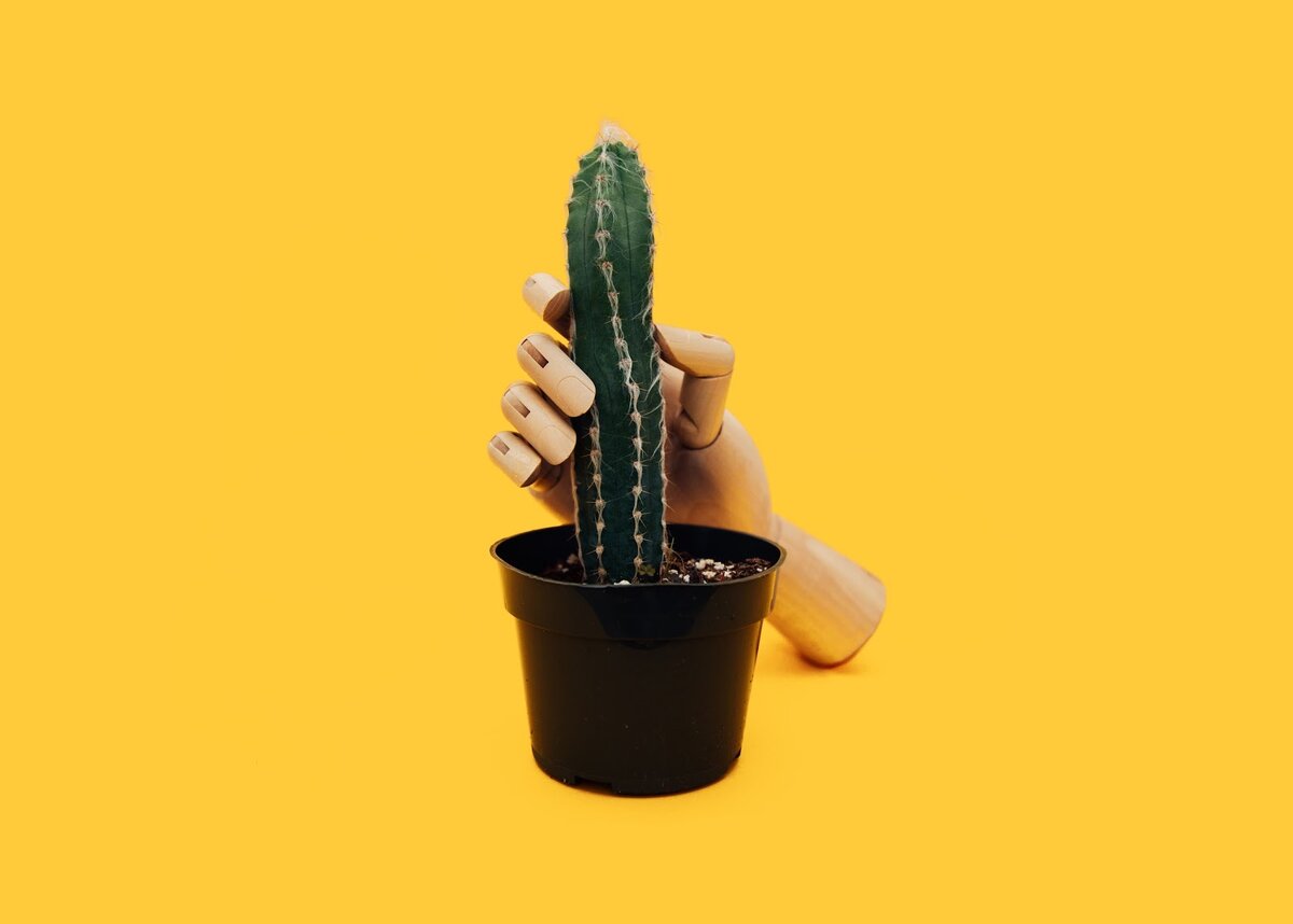 Фото: https://unsplash.com/