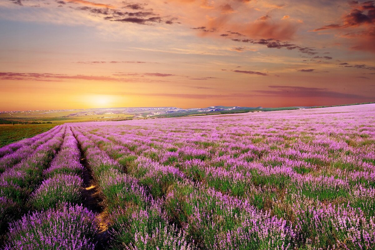 Источник: Яндекс.Картинки