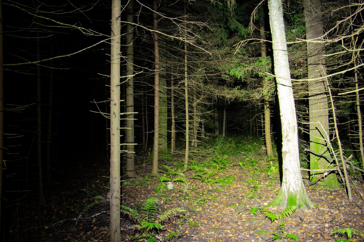 Налобник на максимальной яркости