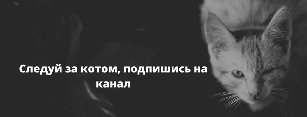 Немного о японской мифологии