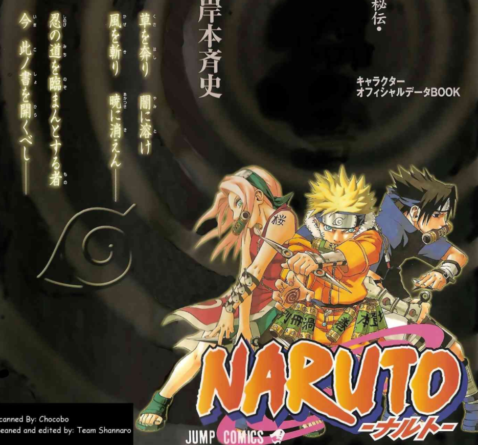 обложка датабука РИН но ШО!