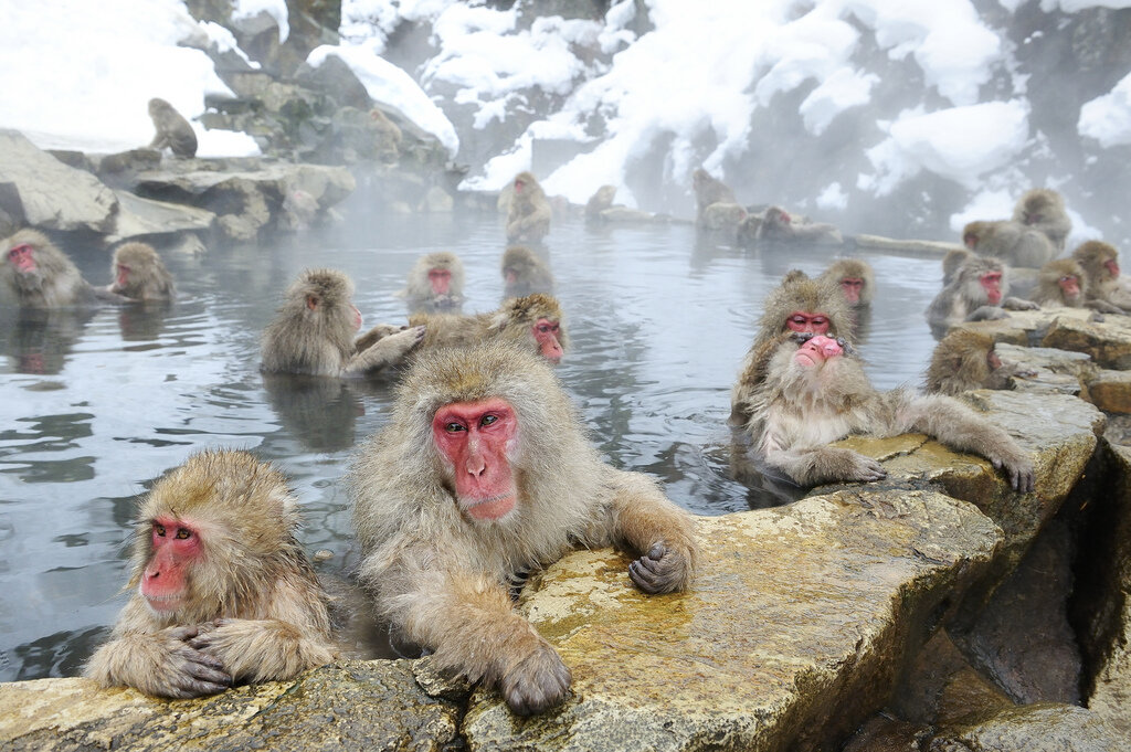 водные процедуры яндекс картинки