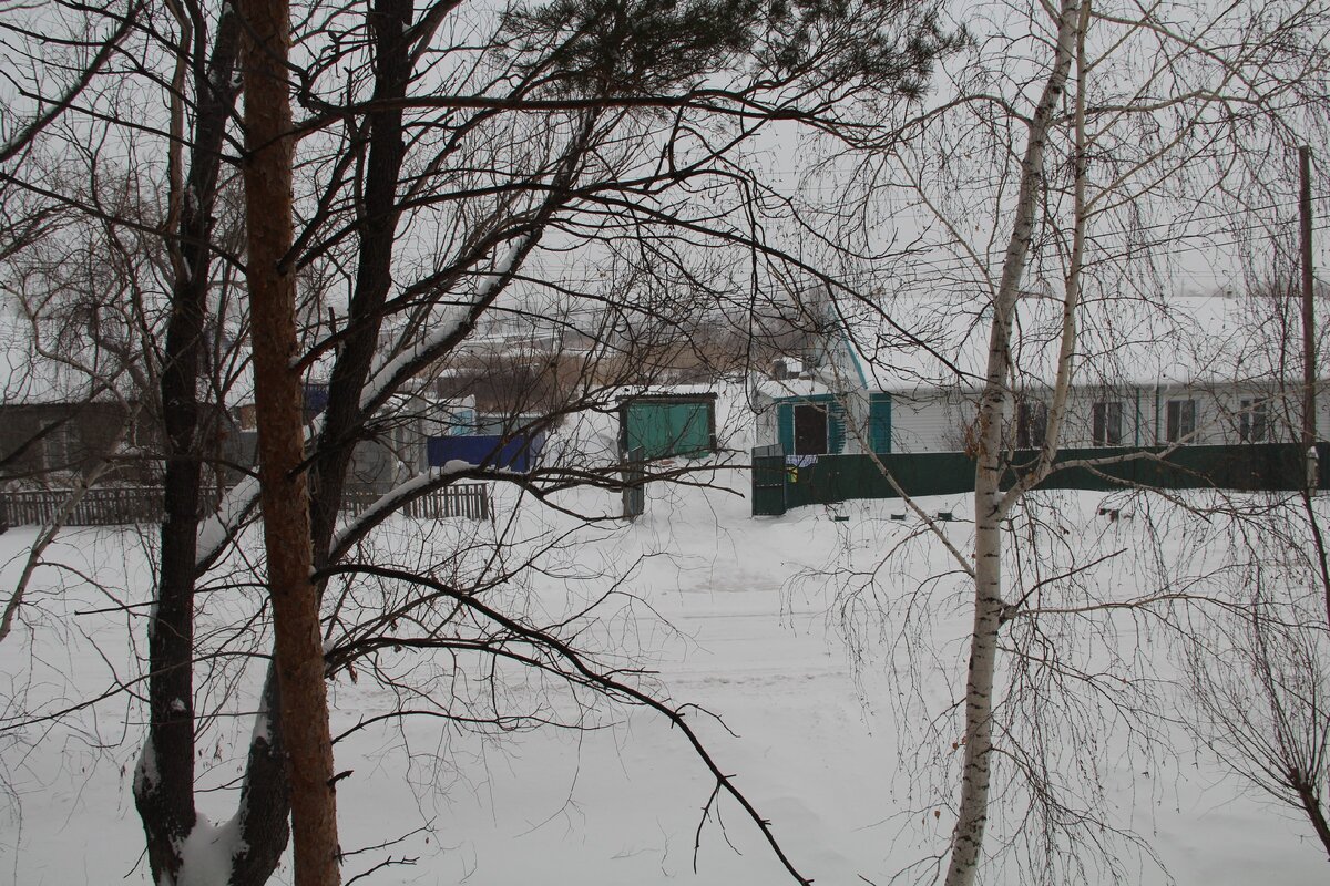 Вот такой вид открывается из окна редакции