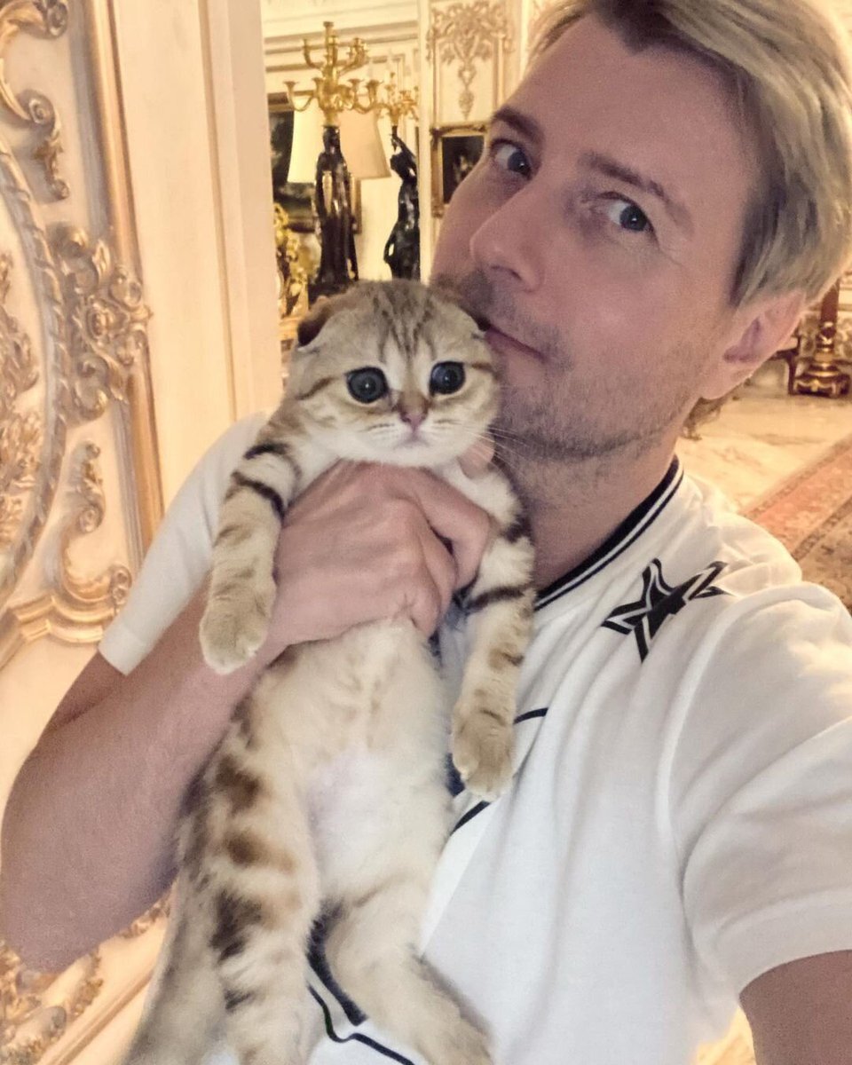 Как выглядит дорогая кошка Шанель Николая Баскова и сколько она стоит |  Судьба человека | Дзен