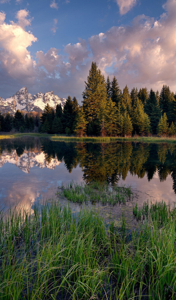 Фото  с открытого источника