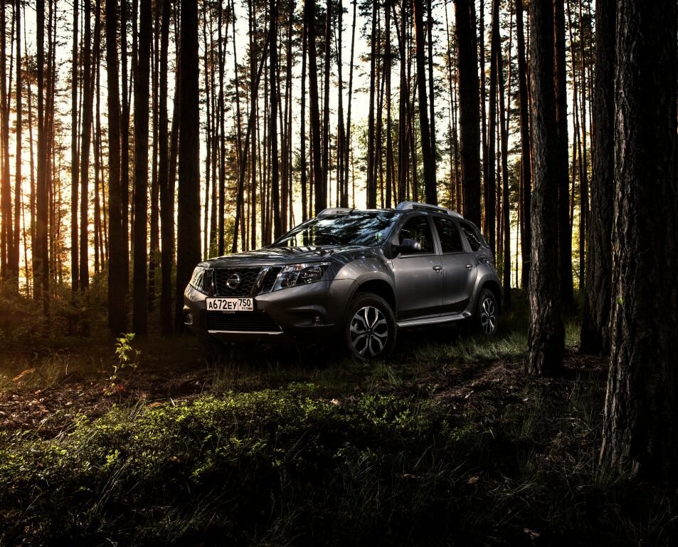 Nissan Terrano. Фото: autowp.ru