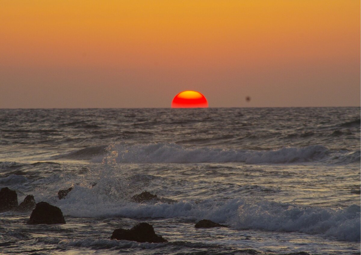 Диафрагма f/9, выдержка 1/320, ISO-800, фокусное расстояние 240 мм (черная точка - пылинка в объективе)