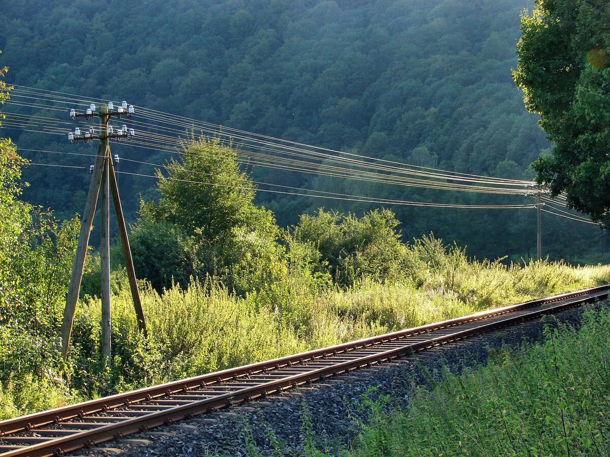 Телеграфные столбы. Фото с сайта pixabay.com