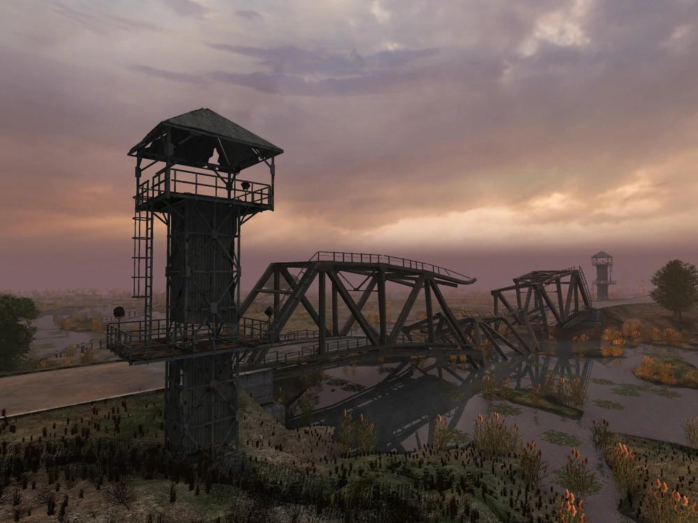 Туманные болота