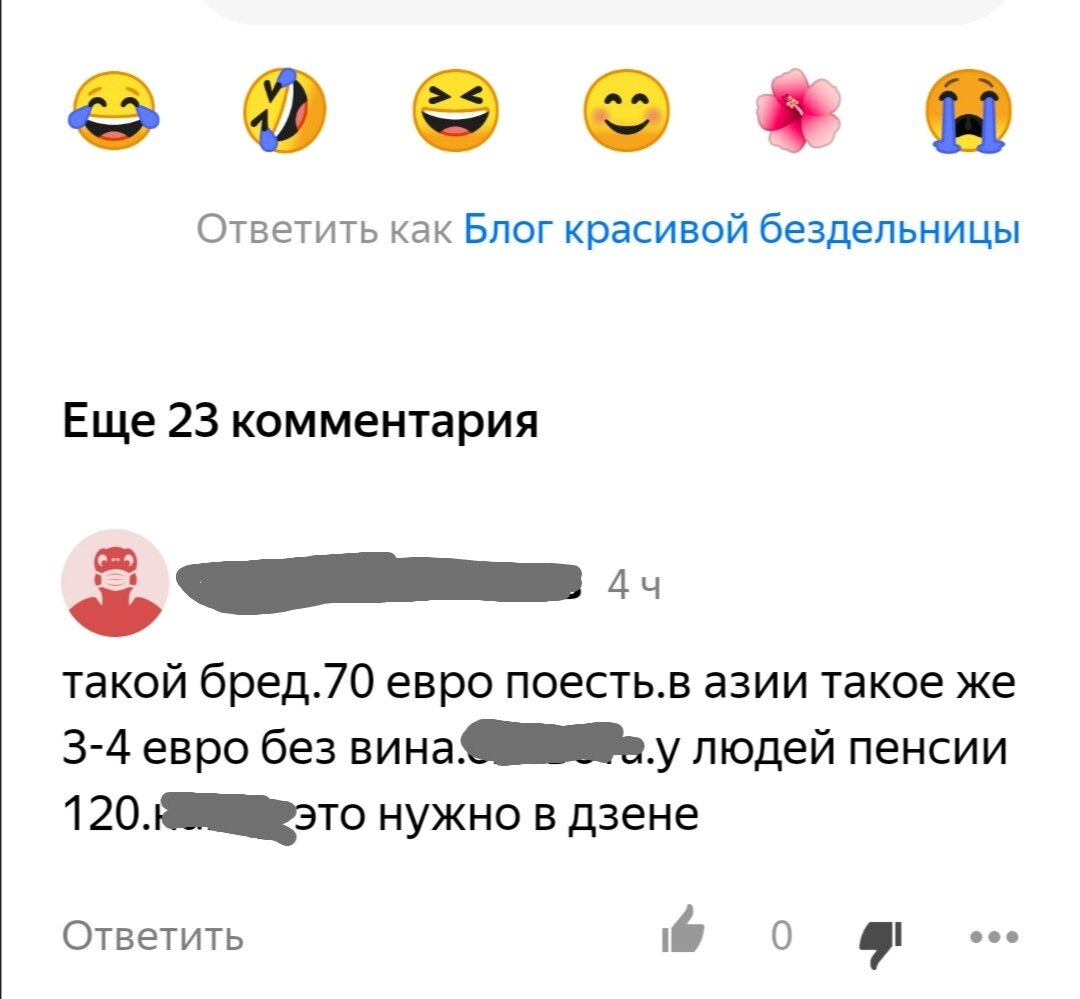 Скрин комментария. Обратите внимание на то, что мне опять написали, что я пишу бред. 