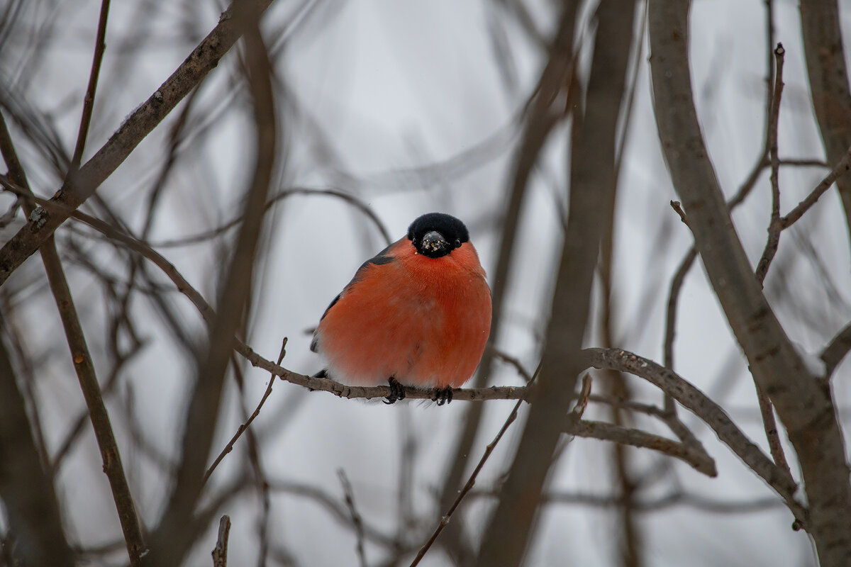В такие минуты хочется спрятаться. У вас было такое состояние, друзья?