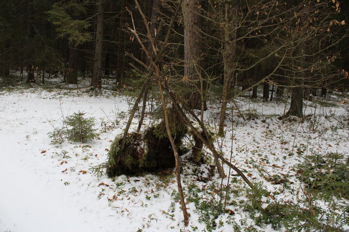 Личный архив