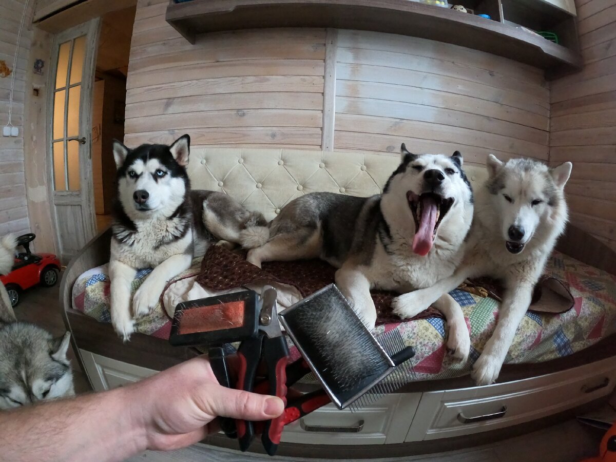 Всем перечисленным я пользуюсь уже много лет, самой первой щетке уже 5 лет. Металлический гребень потерял((