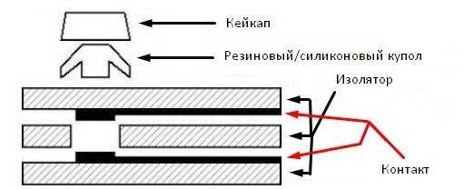 Мембранка в разрезе.