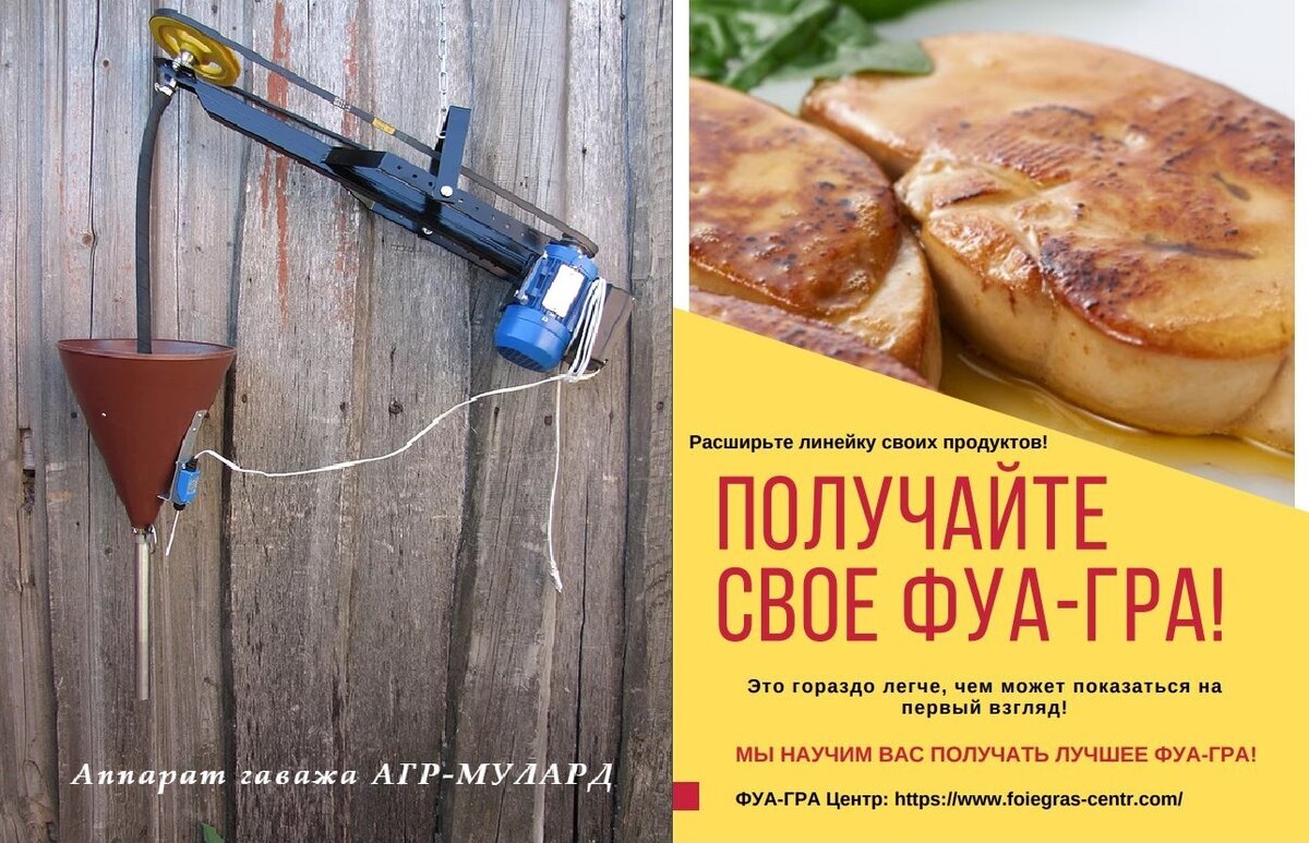 Что делать с мясом утки или гуся после выемки фуа-гра? | ФУА-ГРА Центр |  Школа гаважа | Дзен