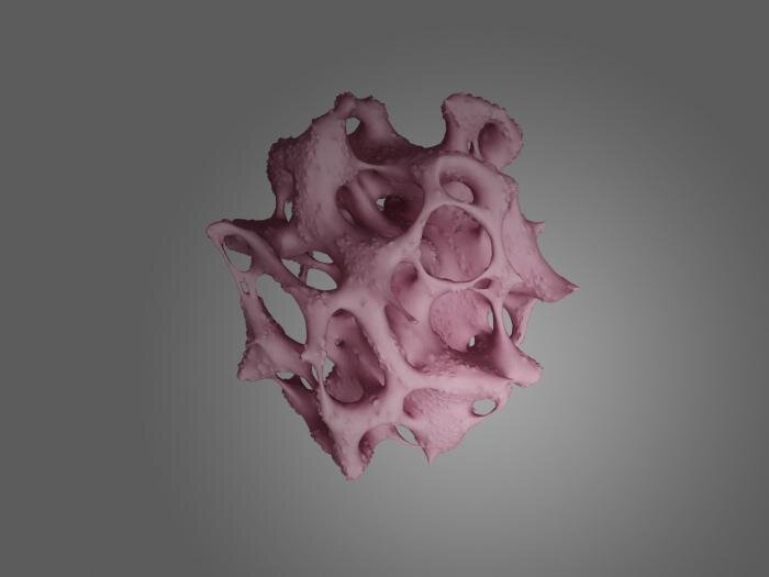 Фотография взята из интернета 