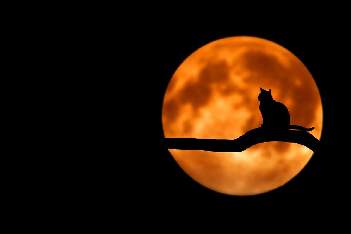 pixabay.com