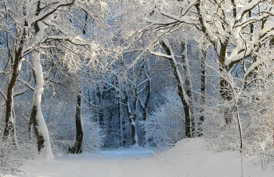 https://cdn.pixabay.com/photo/2014/05/13/17/17/winter-343512_960_720.jpg