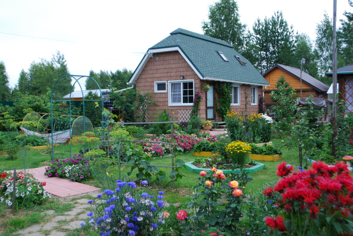 Лариса Куровская: сибирский сад может стать новым ландшафтным стилем