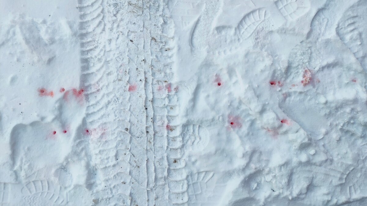 Следы от течи радиатора