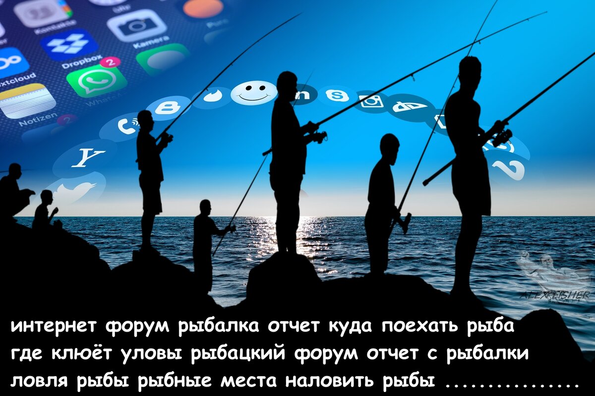 интернет и рыбалка