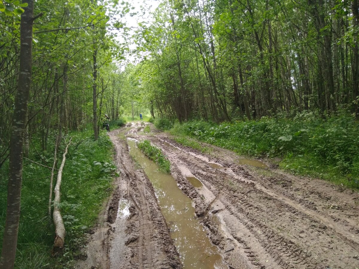 По такой поверхности сложности не то, что ехать...идти! Очень скользко. 