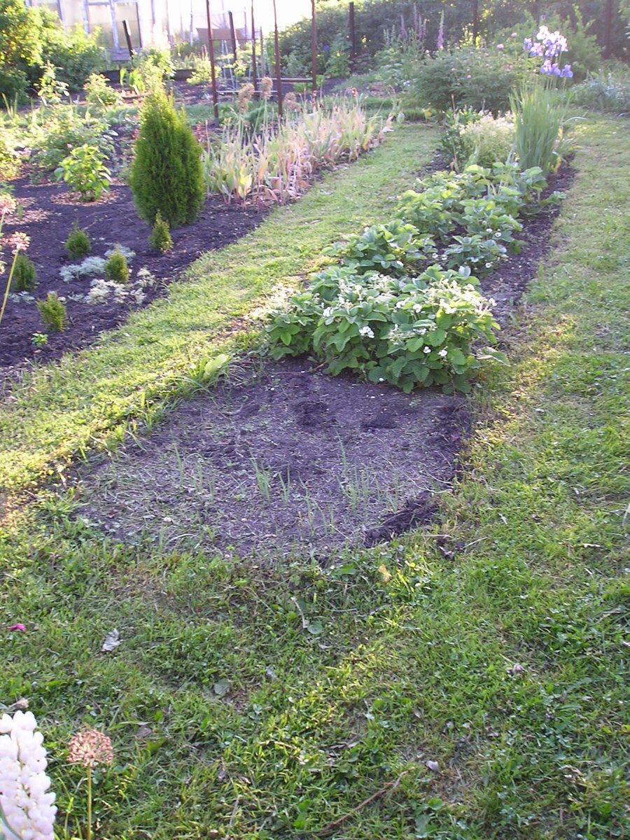 Вид в другую сторону, главный цветник слева