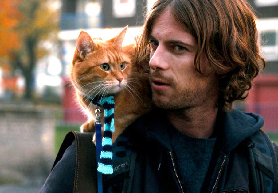 уличный кот по имени боб 2. джеймс боуэн. уличный кот по имени боб книга. уличный кот по имени боб 2. джеймс боуэн 2020.