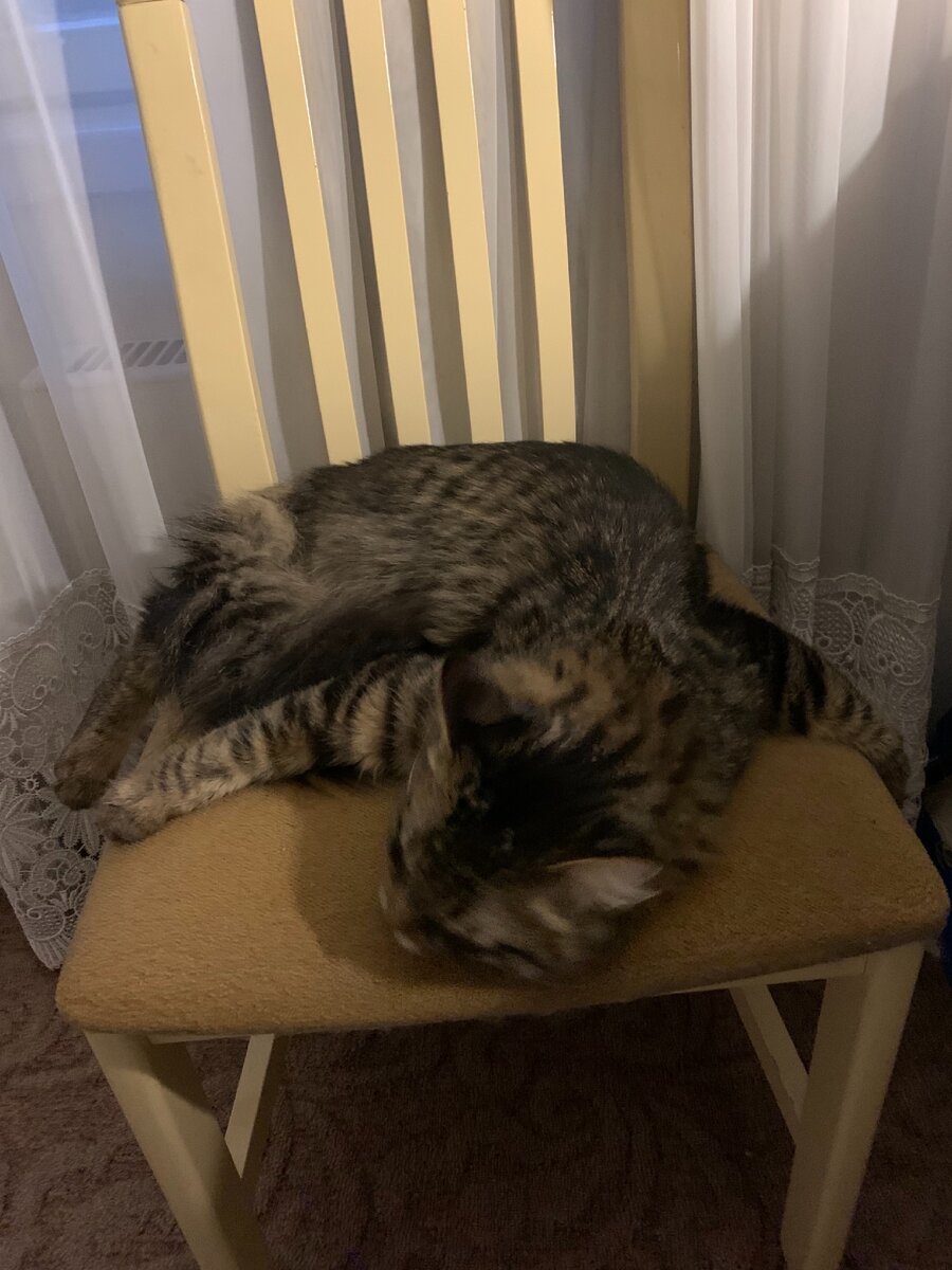 Авторское фото 