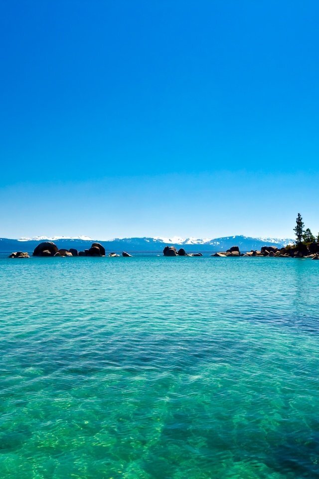 Картинки из интернета