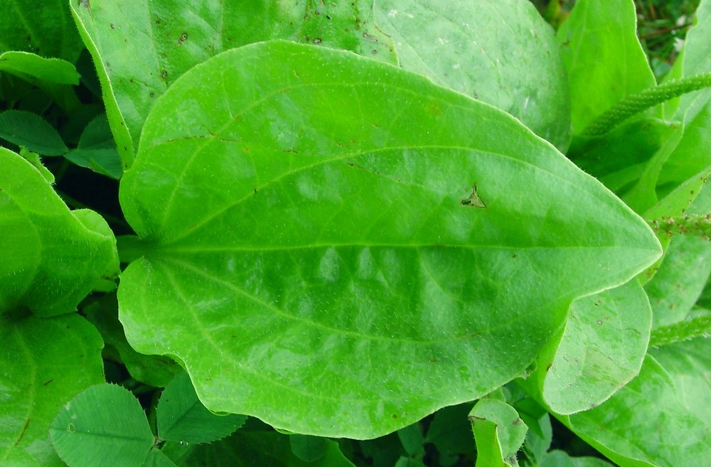 Эти вещи нельзя делать после операции на катаракту. Узнайте это сейчас ...