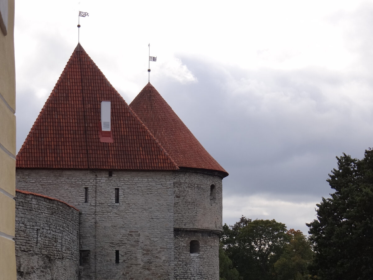 Канонический портрет Таллинна