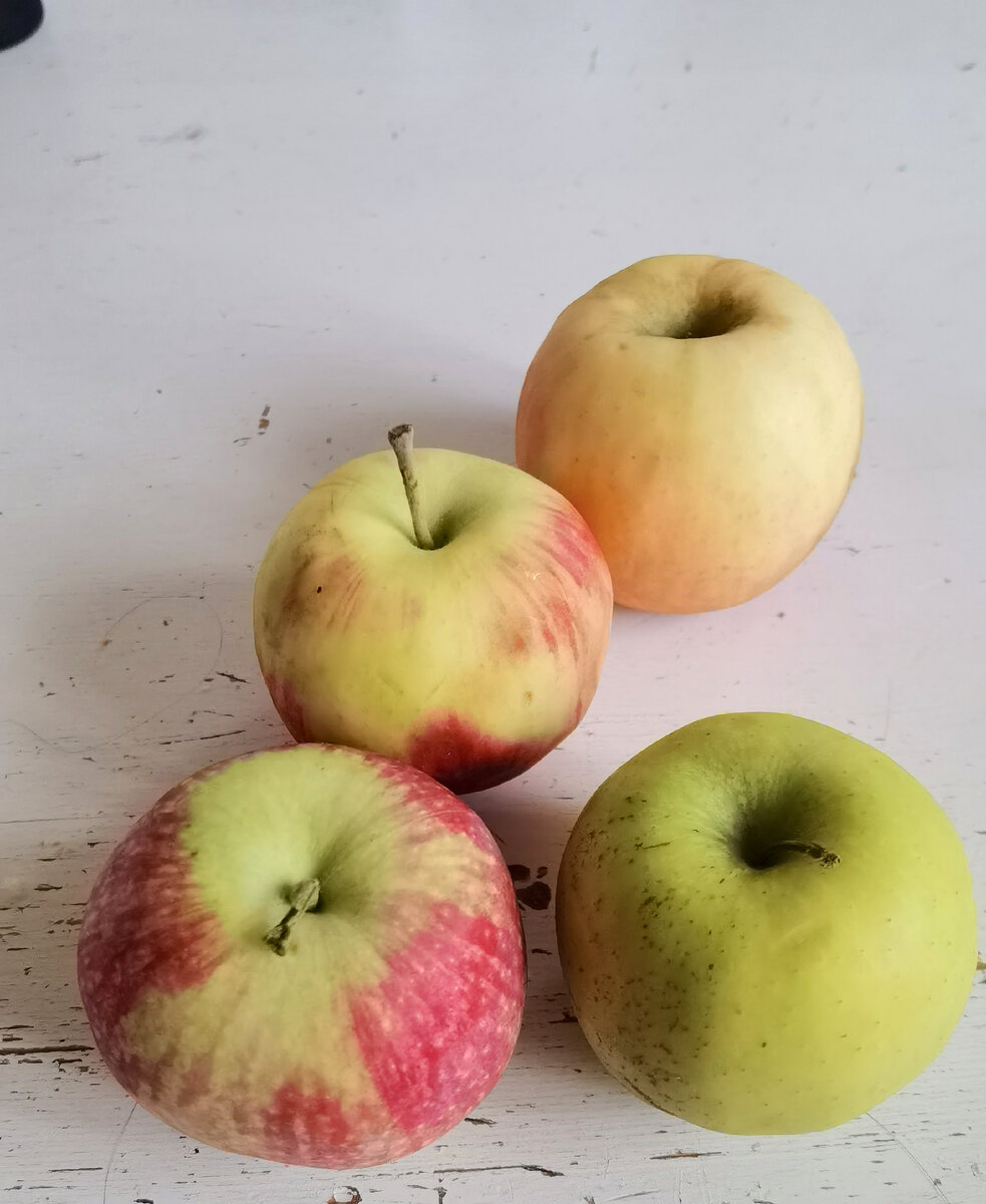 Яблоки 