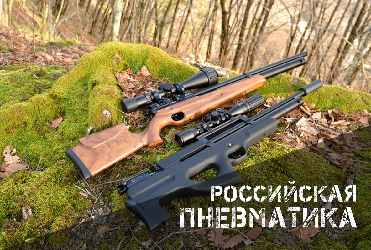 Российские PCP-пневматы: а есть ли разнообразие? | AIR-GUN.RU | Дзен