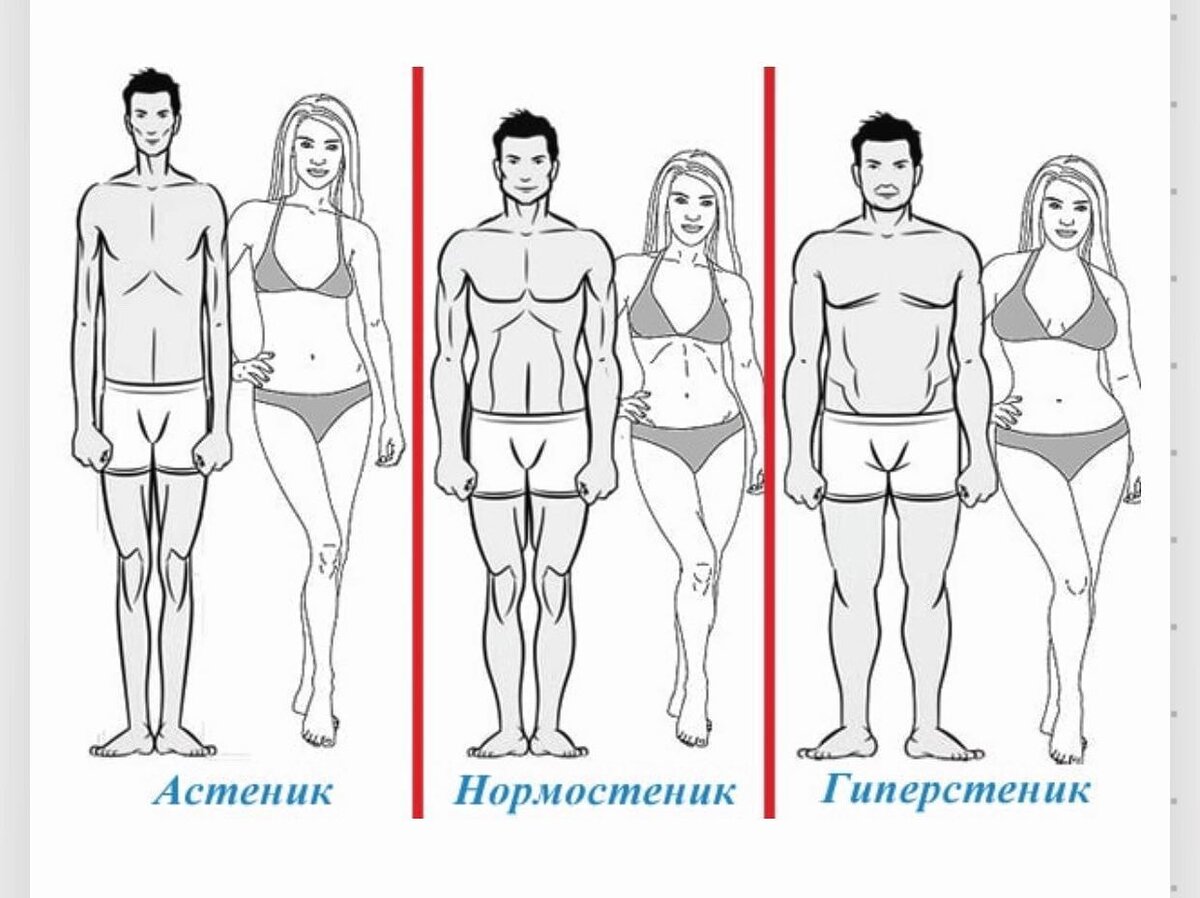 Типы телосложения астенический нормостенический